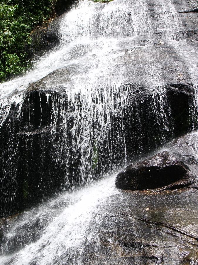 Da Feiticeira Alojamento de Turismo Selvagem